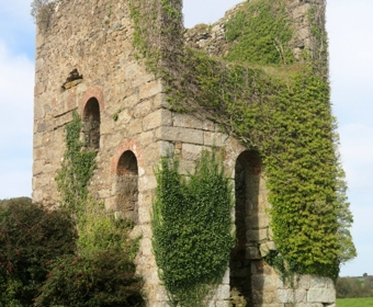 Nancegollan near Praze-an-Beeble. Ann Rainford